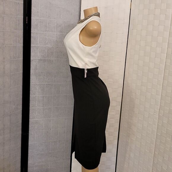 BRAND NEW BISSOU BISSOU MOCK JEWEL NECK SLEEVELESS SHEATH DRESS - Picture 9 of 14